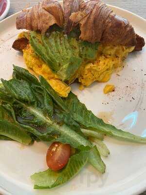 Craftsmen Coffee - Holland V