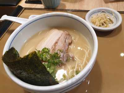 Yayoi Japanese Teishoku Restaurant