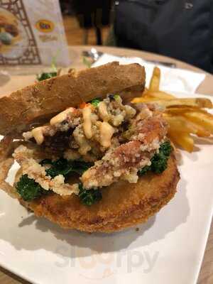 Tcc The Connoisseur Concerto