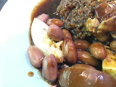 Houson Herbal Braised Duck