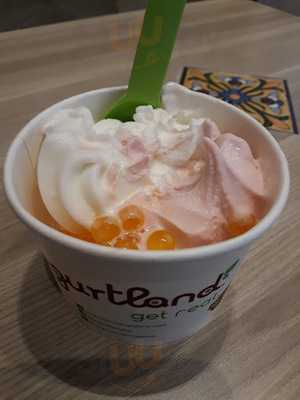 Yogurtland