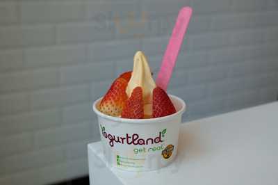 Yogurtland