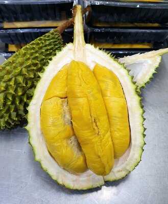 Spike Empire Durian