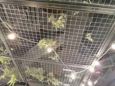 Guzman Y Gomez - Tanjong Pagar Centre