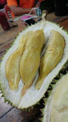 Hao Chi Durians