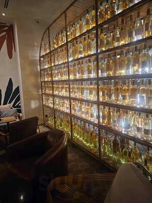 Merci Marcel Orchard