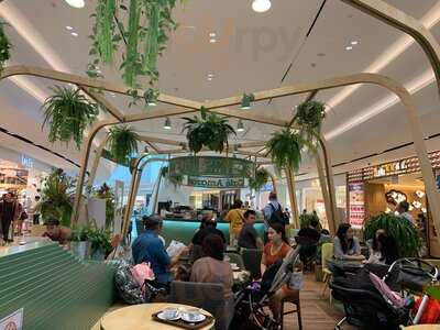 Cafe Amazon