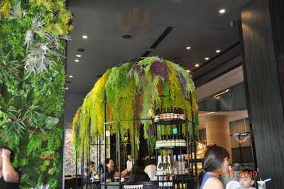 Masa By Black Society