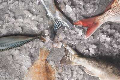 Greenwood Fish Market @asian Cuisine