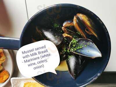 Kob - Kingdom Of Belgians