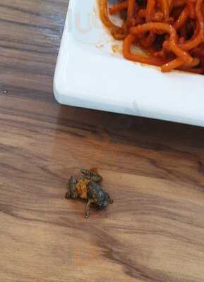 Ohana By Adam's Corner