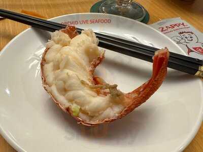 Orchid Live Seafood