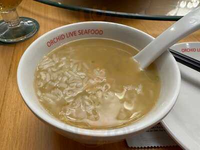 Orchid Live Seafood