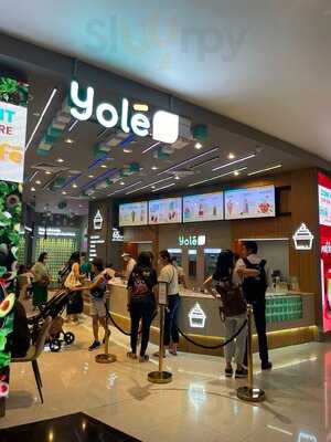 Yole Vivocity