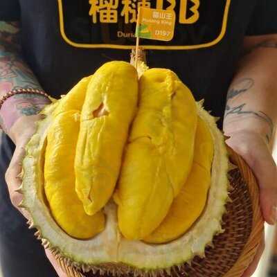 Durianbb Singapore