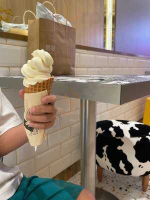 Cat & The Fiddle (the Seletar Mall)