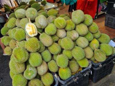 Durian Express Delivery