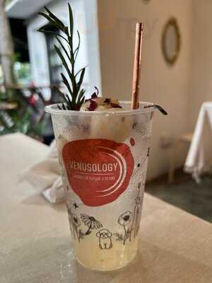 Venusology Cafe
