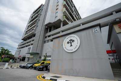 Enchanted Cafe (bukit Timah)