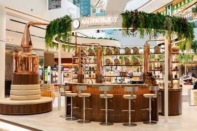 Anthology By Compendium Spirits