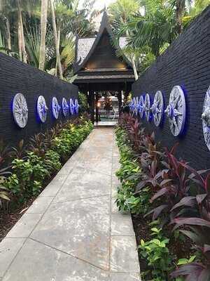 แบล็ค จิงเจอร์ ภูเก็ต