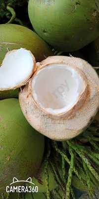 ครัวสายทิพย์