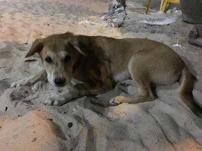 บิ๊กบั้มบาร์