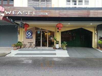 วีเซล กาแฟชะมด