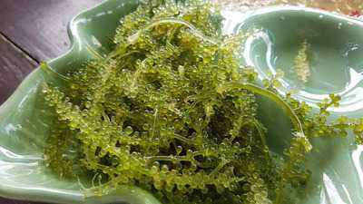 ซันเซ็ทฟาร์มหอยหวาน