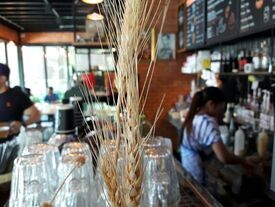 Gafre Café