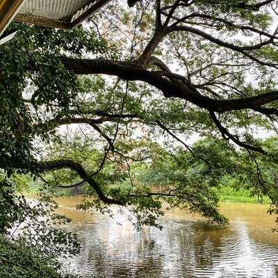 นครา จาร์แด็ง