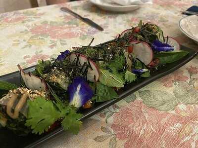 โรซี่ ชิคส์