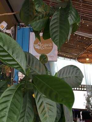 เองเจิ้ลส์ ซีเคร็ทส์