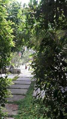 แอพเพอร์ติ๊ด คาเฟ่