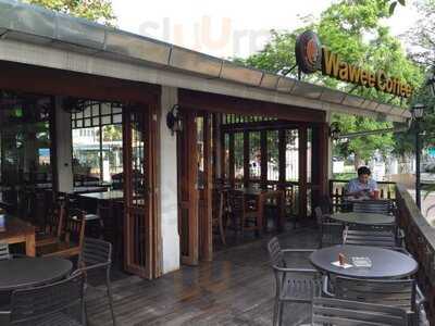 กาแฟวาวี