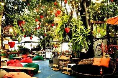 Airniversary Camp & Cafe