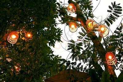 Airniversary Camp & Cafe