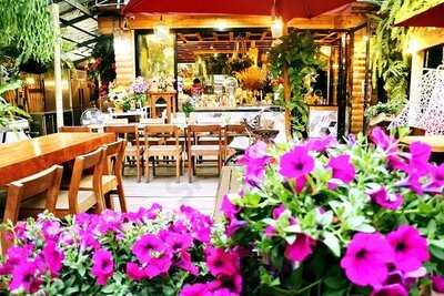 Airniversary Camp & Cafe