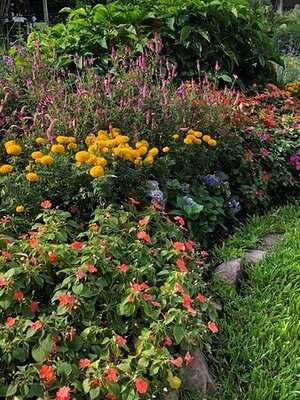 ร้านอาหารกาแล