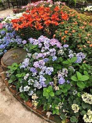 ร้านอาหารกาแล