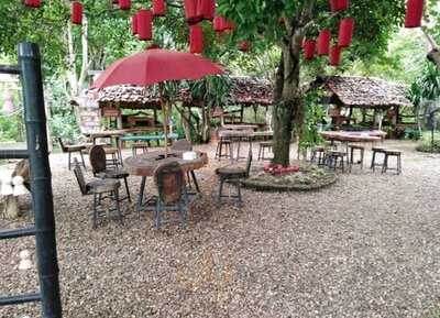 กาแฟ ไม้ป่าเดียวกัน ดื่ม & แดก