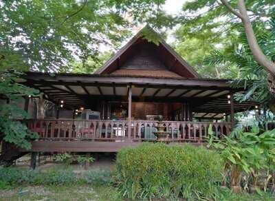 กาแฟ ไม้ป่าเดียวกัน ดื่ม & แดก