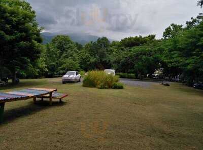 กาแฟ ไม้ป่าเดียวกัน ดื่ม & แดก