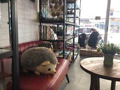 เม่นคาเฟ่