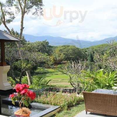 ข้าว - โฟร์ซีซั่น