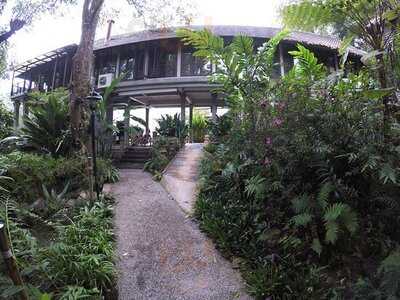 ร้าน อาหาร พราว ภู ฟ้า