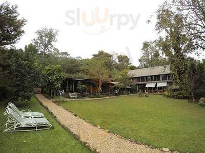 ร้าน อาหาร พราว ภู ฟ้า