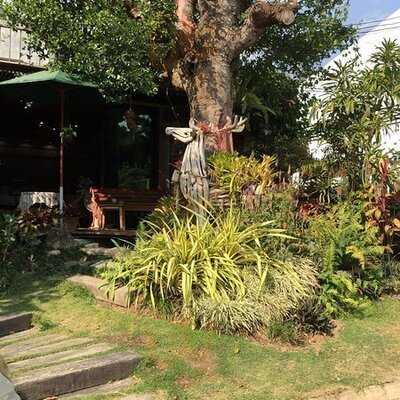 แอนด์ แอน คอฟฟี่