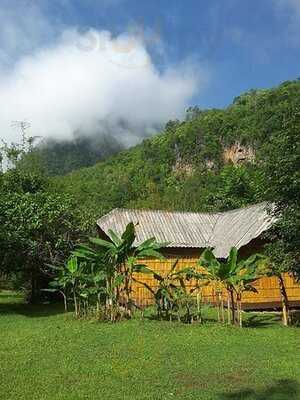 ร้านอาหาร เชียงดาวเนสท์ 1