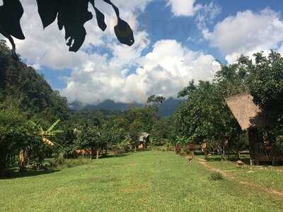 ร้านอาหาร เชียงดาวเนสท์ 1